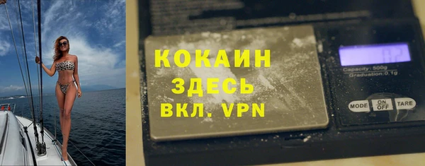 не бодяженный Дмитриев