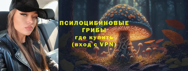 таблы Гусиноозёрск